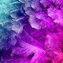 f05934b0a9a756613f2763053b36d0ff_w1080_h1080.jpg
